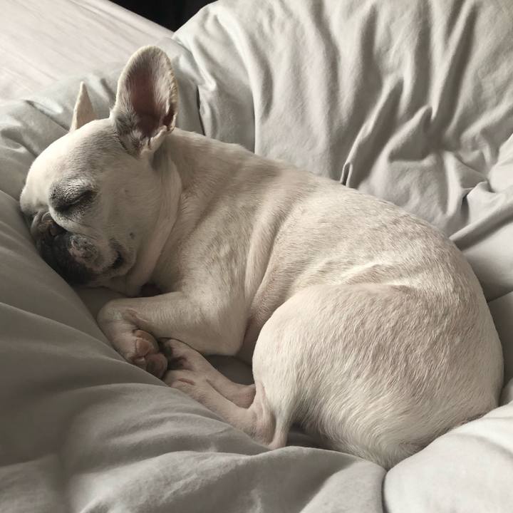 E1e2c840 4728 4a3b a21a 3567e7ecfe8d 1589549140738