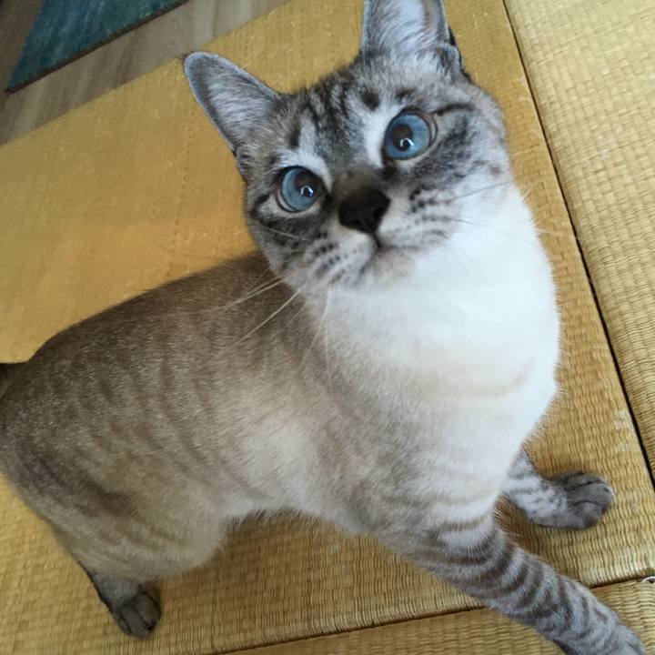 E1e2ce21 bef8 4994 a395 2f718fce3994 1585105953689