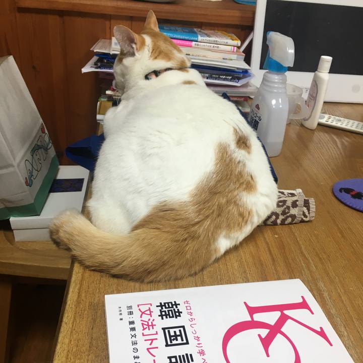 E1e2d3e1 f2ee 49cb b4b0 a8e11a0c250e 1540812165694