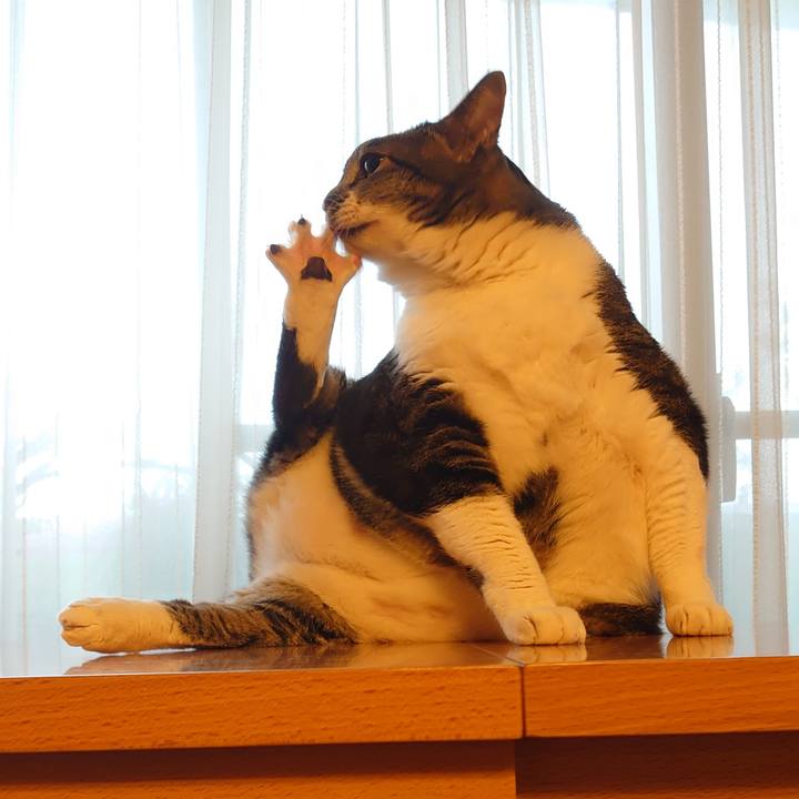 E1e2daaa 1b04 4549 9e6a 129ef7249a41 1626238730183