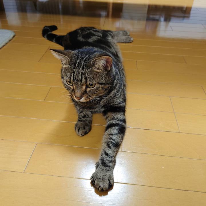 E1e323c4 bd54 4311 884f 38a306abf75b 1608421664564