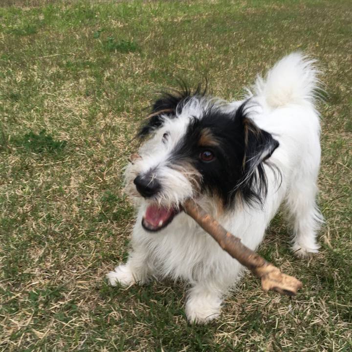 E1e35e9e 805a 4564 9dbc 2dfbff0e6e6a 1525901126303