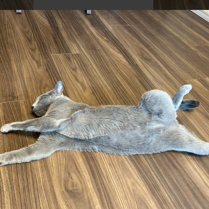 E1e37518 ec60 4ade aca1 4becaded98b0 1738191141404