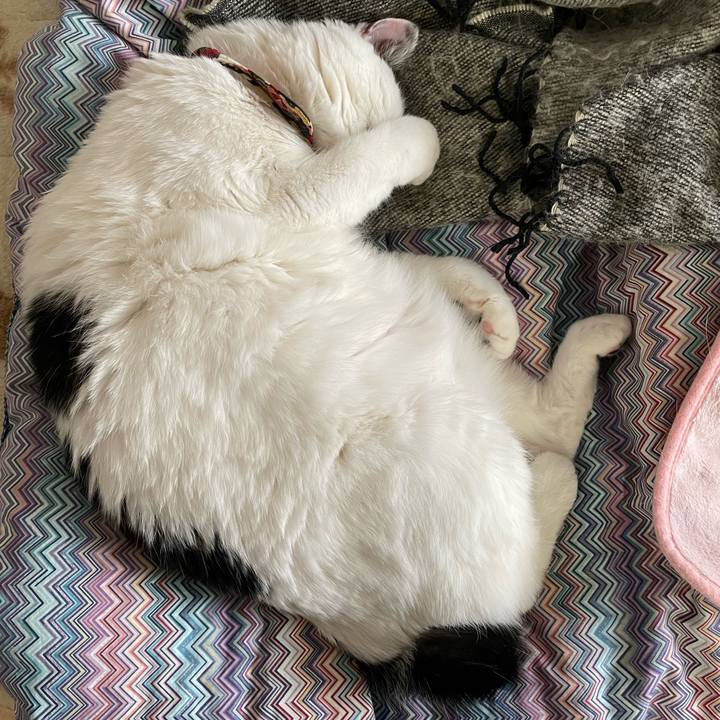 E1e39e19 20a4 4144 84b5 620f52393f75 1647387163640