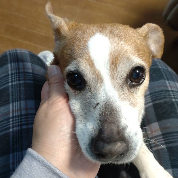 E1e3fbba 316c 4415 9d6a c40e0f4730ea 1774255829208