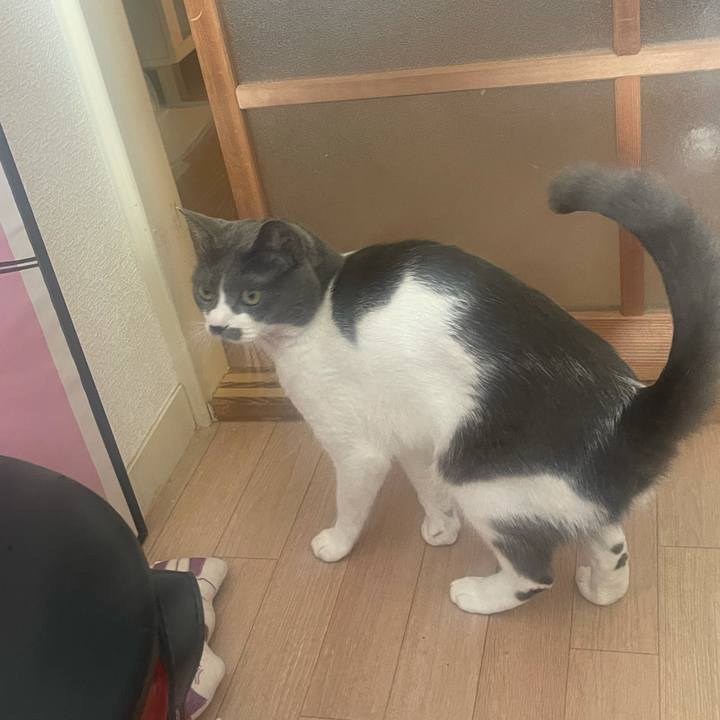 E1e3ff78 6cc8 46b9 a4ff 4dc33df5dae3 1637456727736