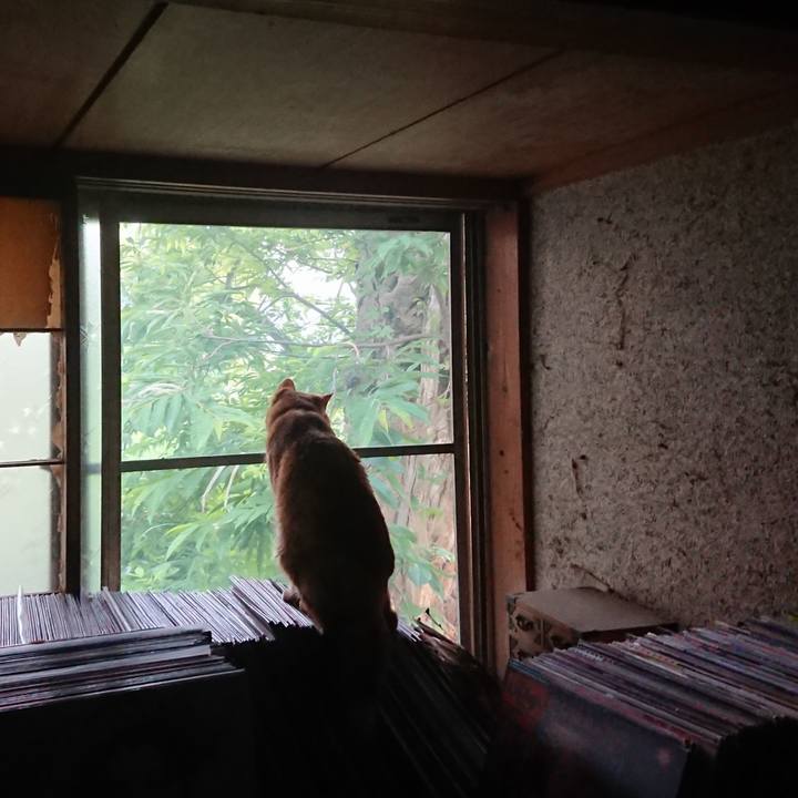 E1e42a4f e483 475a a022 cb572d3e9fba 1656538835257