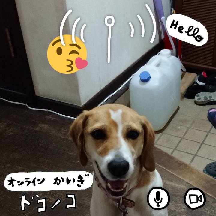 E1e44e27 72bd 42ec 8769 f5461dfb8504 1593265221972