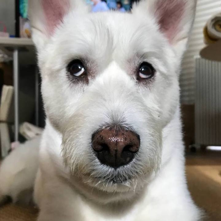 E1e45243 5c57 4799 994a 1303e7976af5 1770611322592