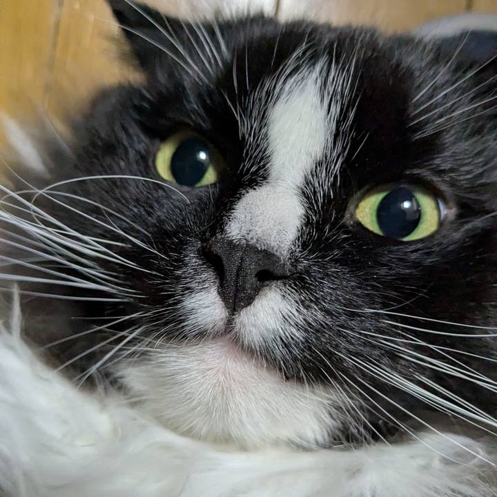 E1e4639f f9d9 45a5 b4a6 af1a1e12677a 1772322032971