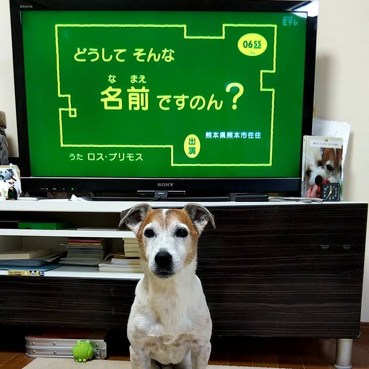 E1e48827 a265 442e ae9f 794c82730700 1559255068371