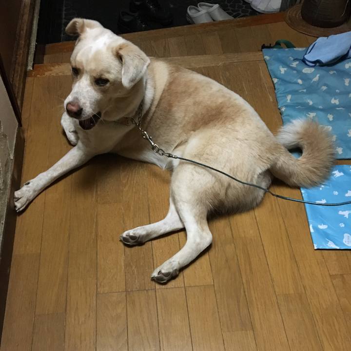 E1e4a6ca 29f1 42a1 9d8b be5e591d1e06 1509096581651