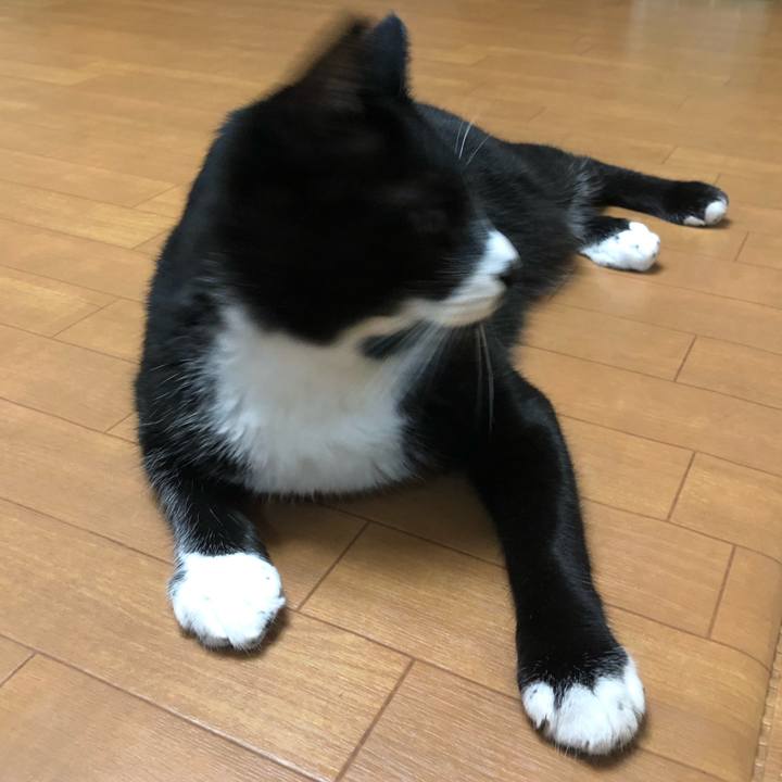 E1e51665 eb6e 4104 840b 084b16e10275 1602819341924