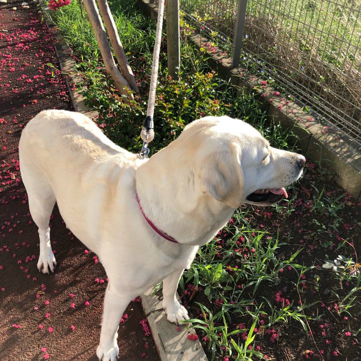 E1e55bfa 38f6 4d9c b552 6ab457feda17 1600211641573