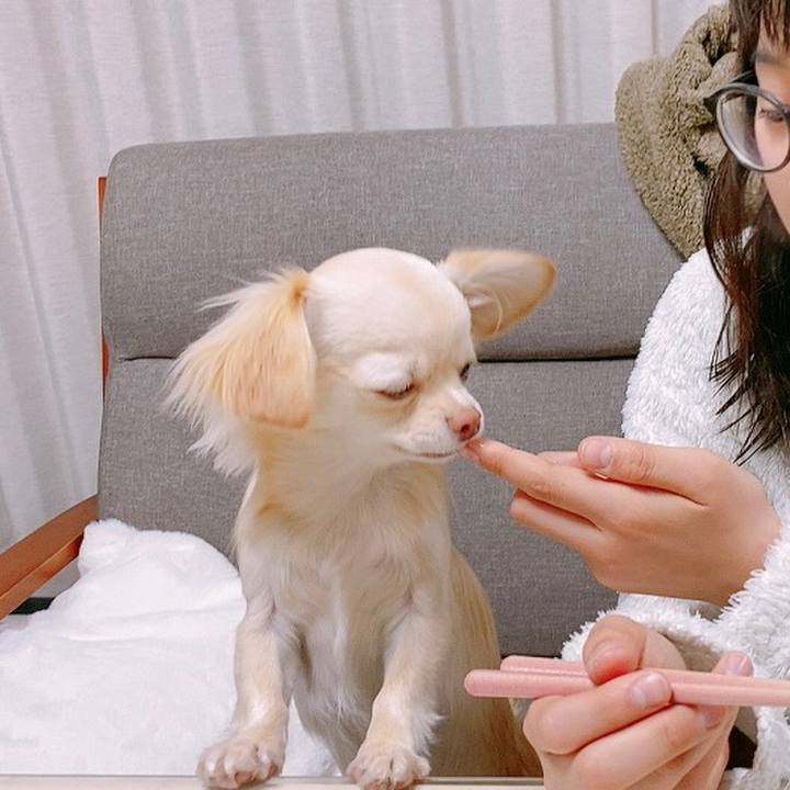 E1e56db0 ee95 44bd 9ef8 174b40efe322 1611973571252