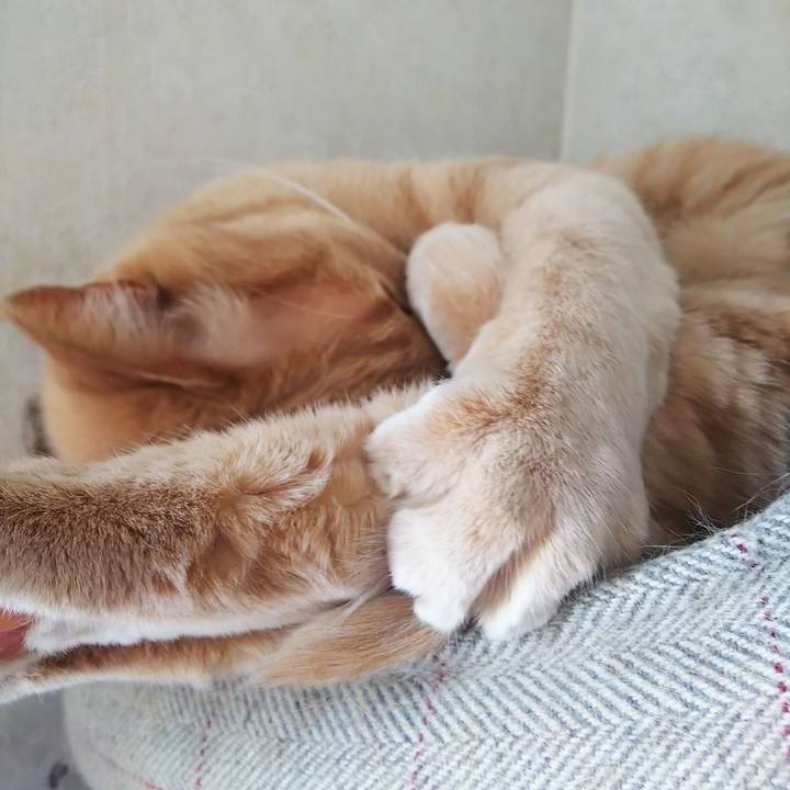 E1e5933a 0941 46ee a1ec 9e38583163ad 1646213677313