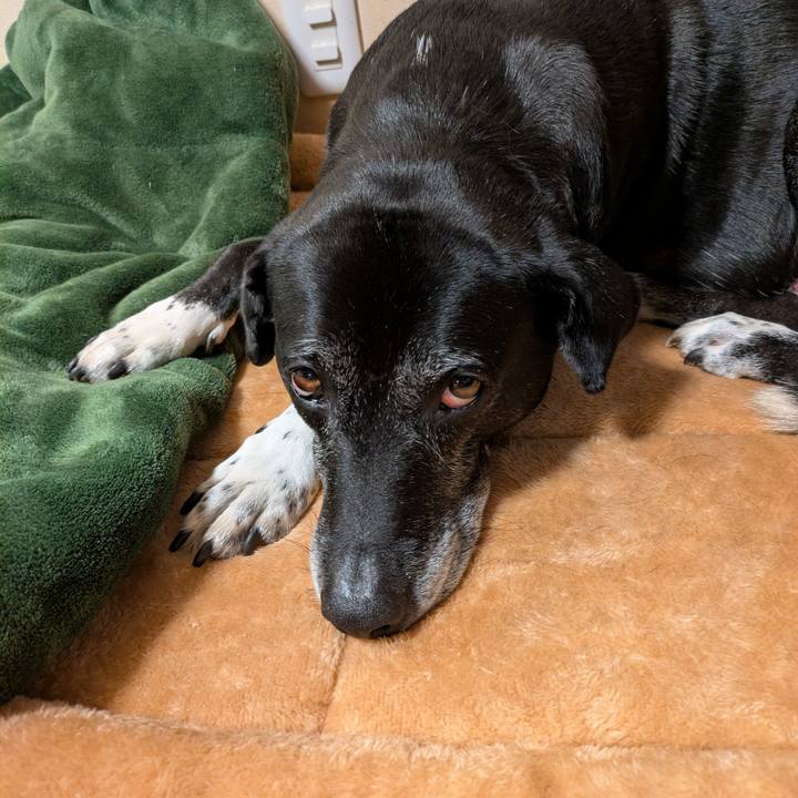 E1e5a143 52c4 4428 8e55 cdc3b94e9eeb 1764500552643