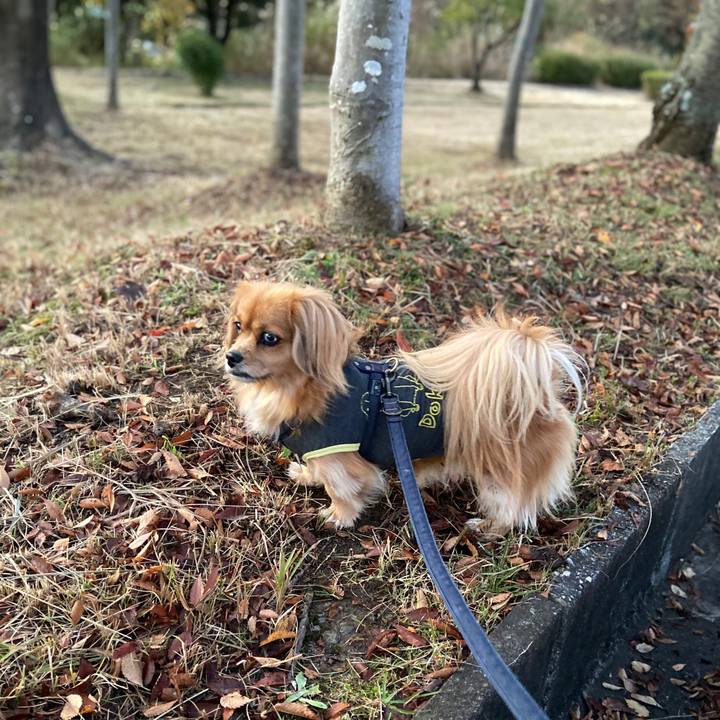 E1e5acdc 408e 49e9 a8e5 f4c2b3a34b2d 1574978462896