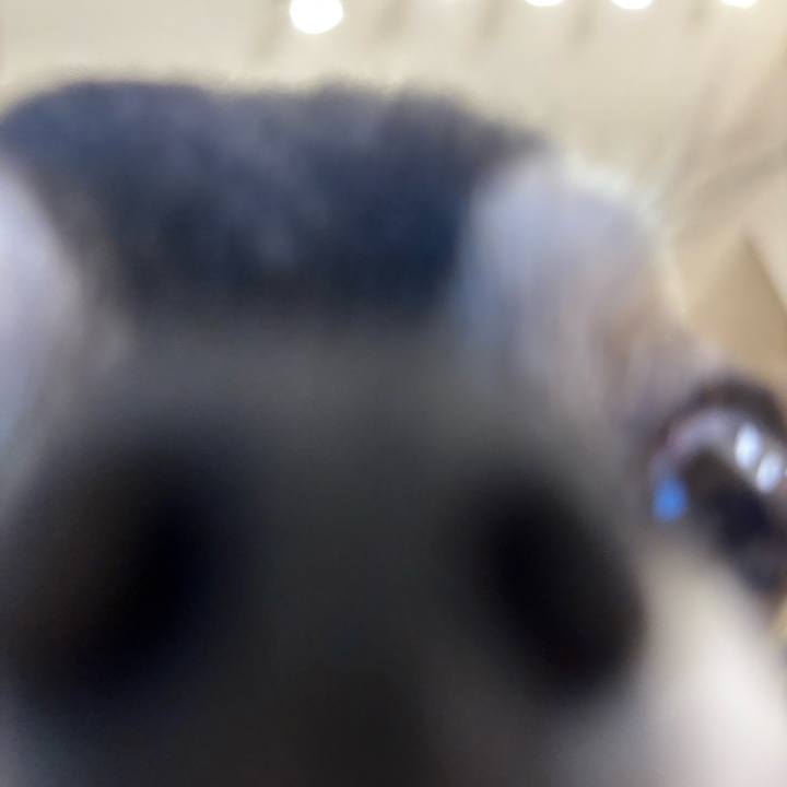 E1e5c173 4dfe 407e b5fd b03f86cb8d44 1735922297498