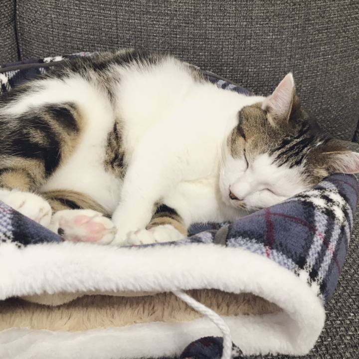 E1e5cd3e 700d 468f 917d 32a726687fa8 1539395157693