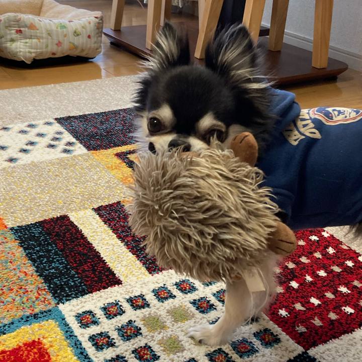 E1e5e77a ae66 464a a16d 2ac274905dc2 1701600657769