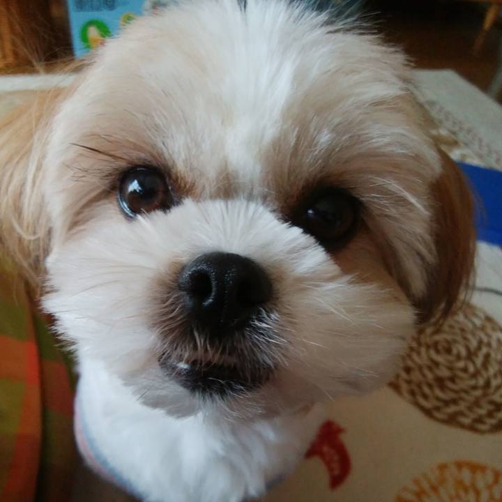 E1e5eca5 1876 42b1 aa16 46a4a058e702 1514250576657