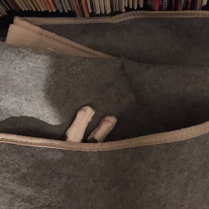 E1e659f8 bb17 4750 8835 63e2fafcff33 1558027688359