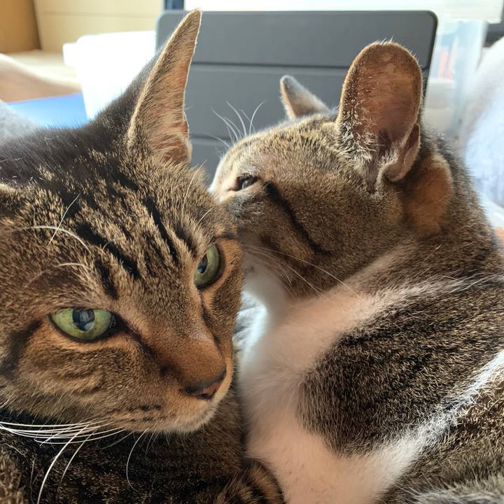 E1e65f35 2d4f 4056 9897 e660e6d829d4 1572138673153