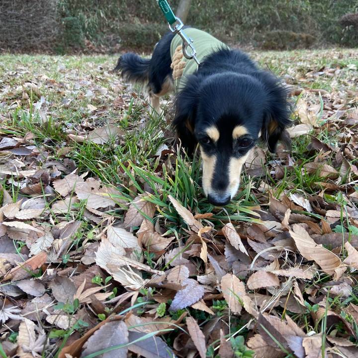 E1e6acf4 c686 4bff ab65 b1c559963a14 1706685567530