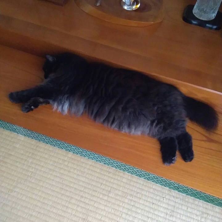 E1e71eef 06ad 4a16 a67f ed5525e7ed75 1533534957274