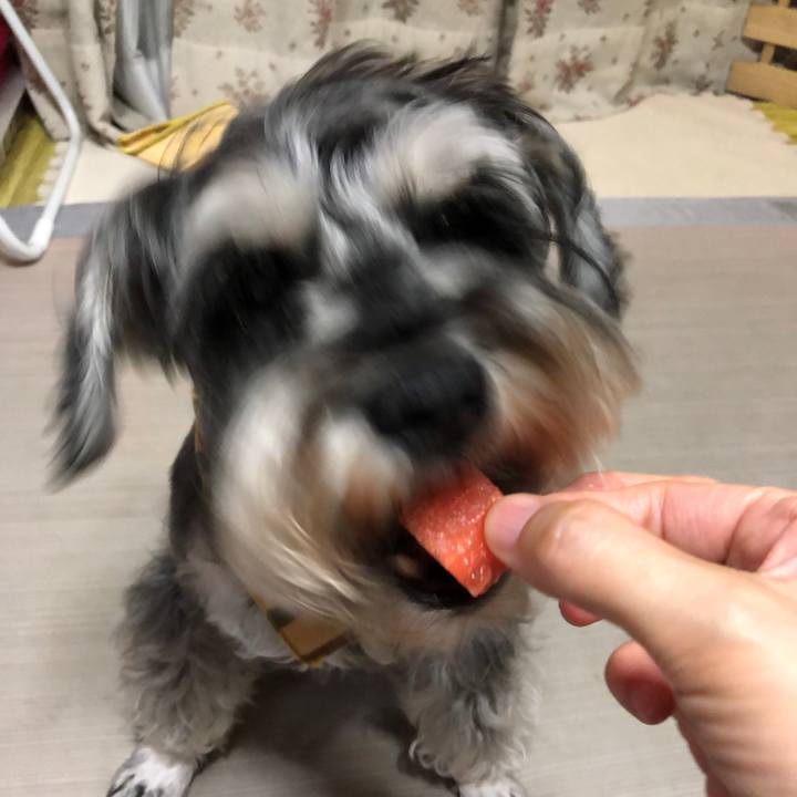 E1e73d24 5e31 4f14 8bfc 08d8a7523198 1627995082254