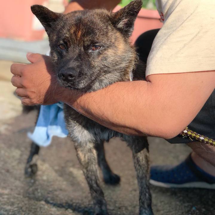 E1e75f7f 7ceb 4120 af4d b1f323c5477c 1531045723117