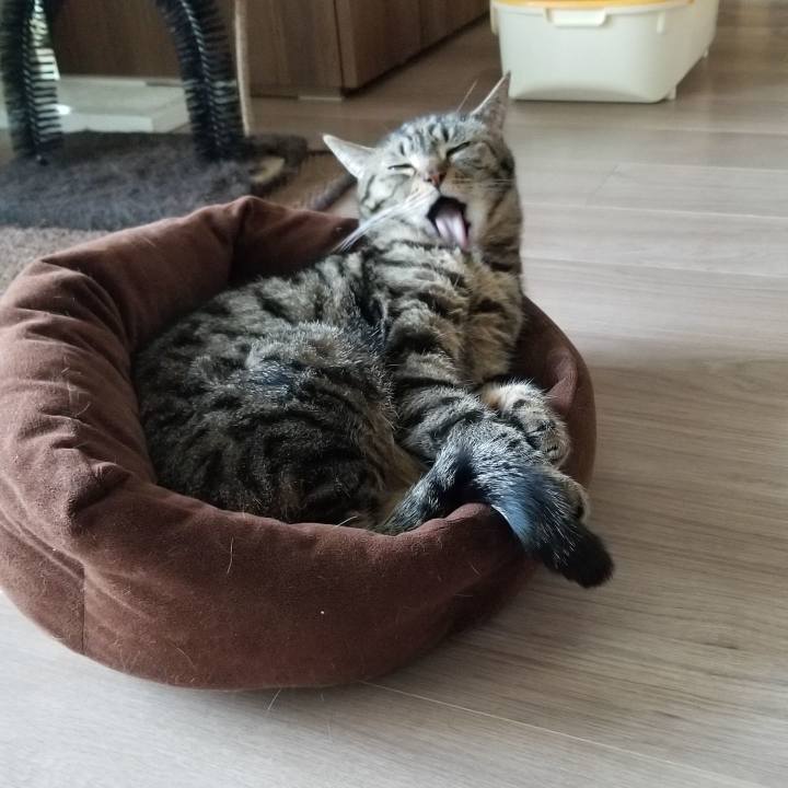 E1e765ca 1c6e 4190 a114 d1c2b923f55d 1557043914885