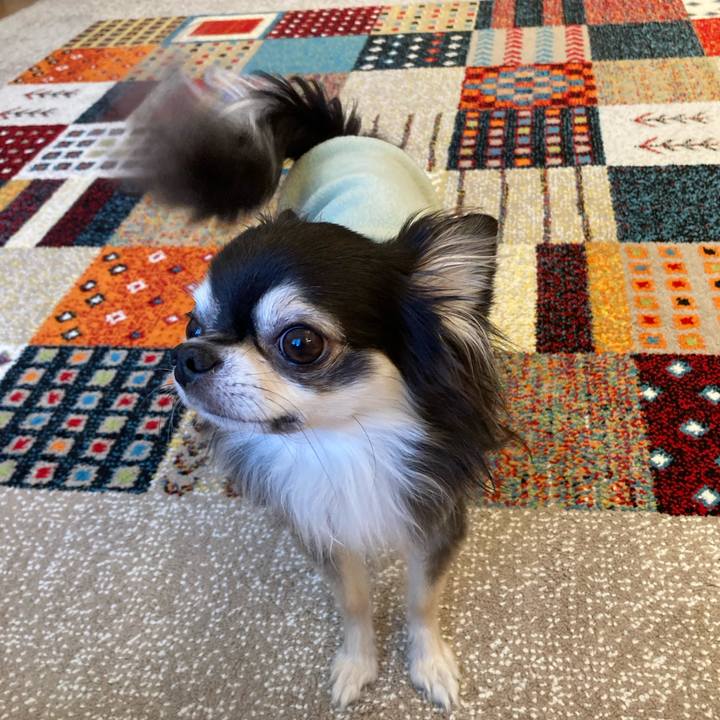 E1e79683 15a6 46ec ac7e 869ad2be1532 1707720693423