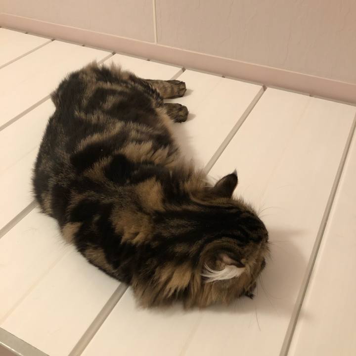 E1e79e36 0851 4736 9fc9 5dc48fb7c529 1574213730364