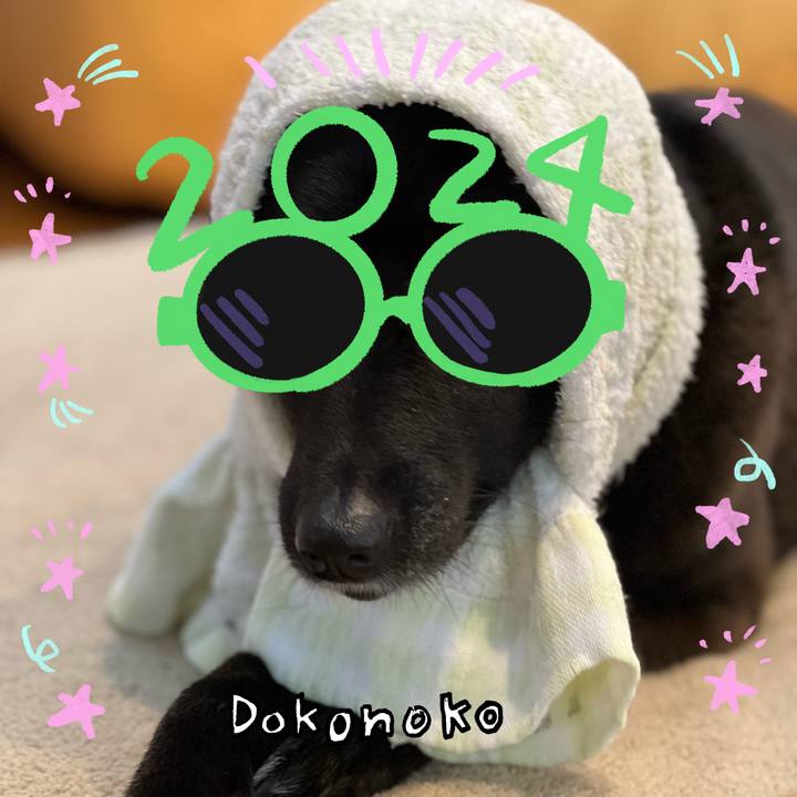 E1e7a23a b7bd 42f0 a052 9aef854582b1 1704205422748