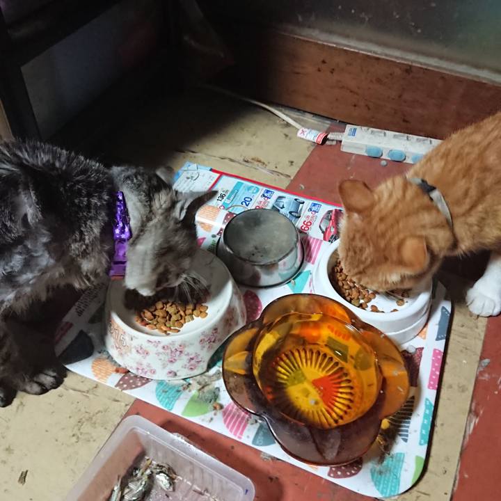 E1e7aa7e 1916 47ec aa1d d5802b3d0cf7 1594411090940