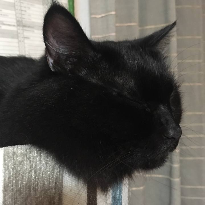 E1e7db9b 696d 430e b36b 4a33ea777ed7 1539431238739