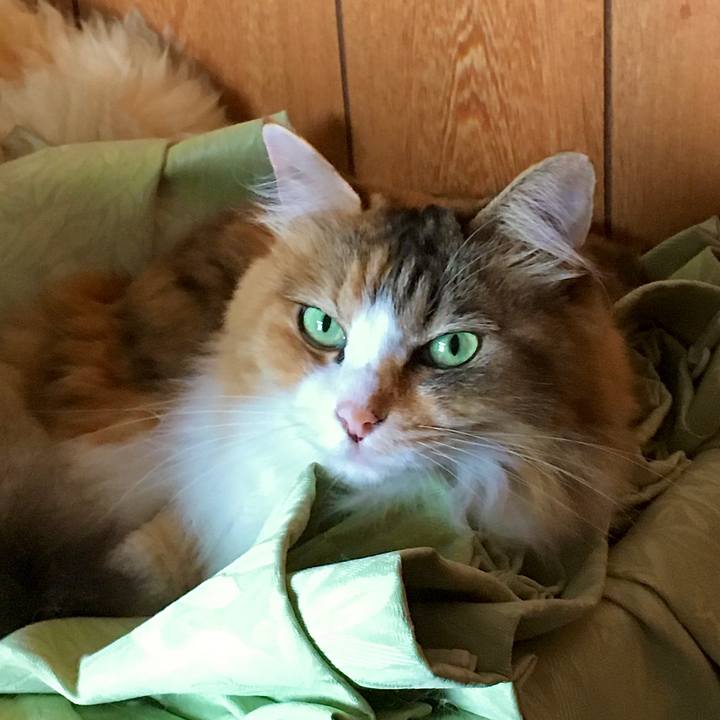 E1e7e444 02c4 4f48 a0e4 09d089fc103a 1601003791422