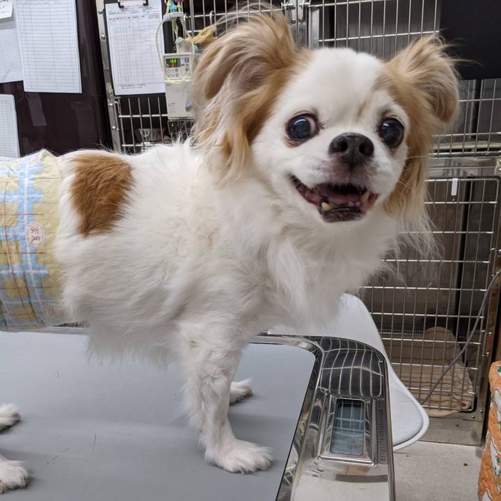 E1e85a08 ea60 41ab 9154 a67d6be6694b 1663242739238