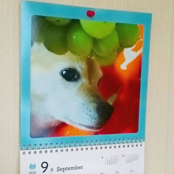 E1e89271 c601 4914 8289 76004061460e 1535867781578