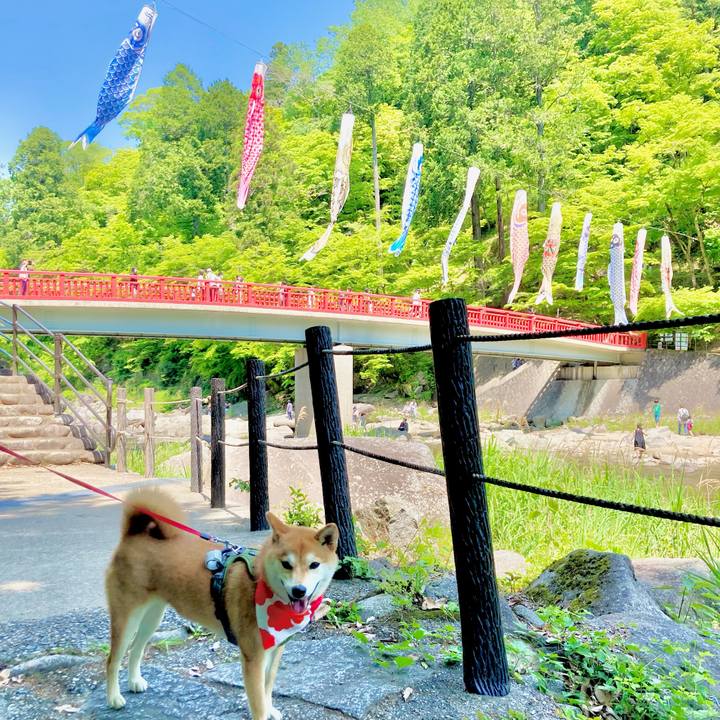 E1e8b234 3acc 49da beb6 026852bc11c0 1651707286723