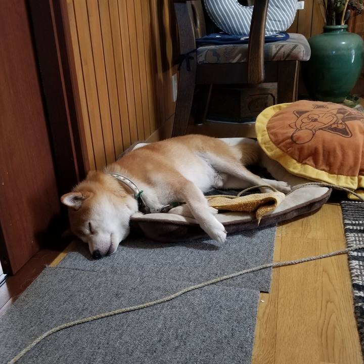 E1e8c900 a017 4d62 8088 d37f031f86a8 1627959814766