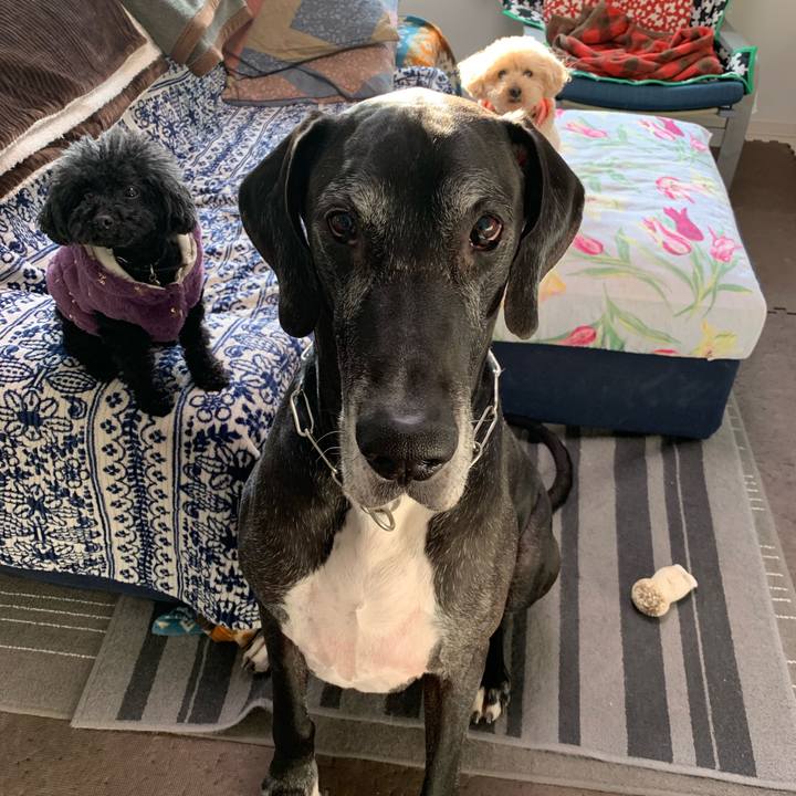 E1e8fe34 509d 4097 b1ef 60587af4eadf 1548197362991