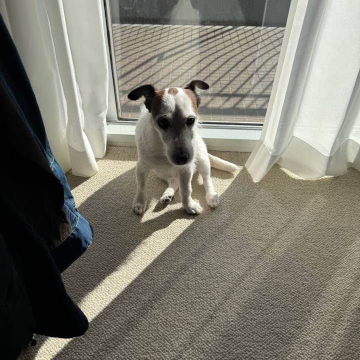 E1e92d80 9d95 4115 82bc 4cec39ccc7c2 1768529838884