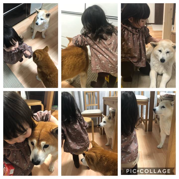 E1e93c92 385c 42df b961 1efc348ba6b8 1556750598337