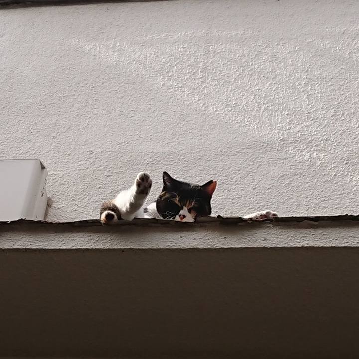 E1e940bc 169e 488f b437 fed458c8b3f2 1620604745426