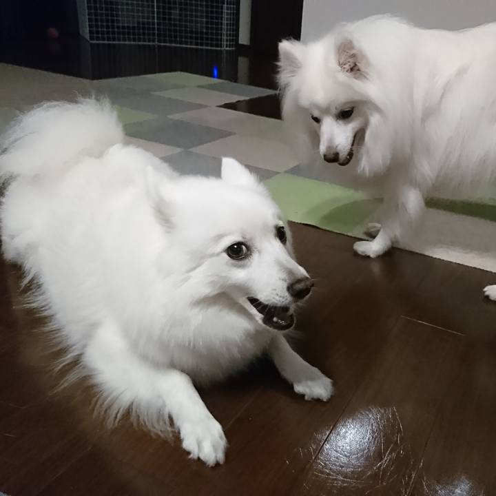 E1e94a85 6dfa 4a7d 94ea 08a8c8602376 1589895315233