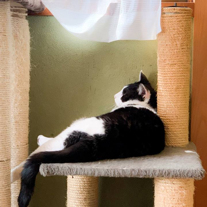 E1e9649d 3579 4457 a7dd 6fd9db8cfb2b 1592789517111