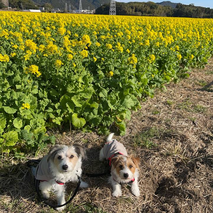 E1e97488 13ed 4bff 915c 2e8627a5d959 1767151137003